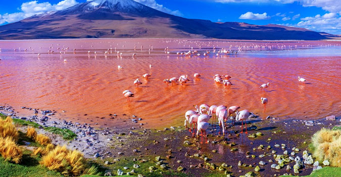 tour bolivia