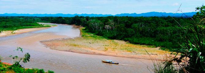 Bolivian Amazon