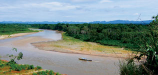 Bolivian Amazon